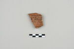 ostracon, image 1/3