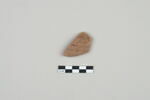 ostracon, image 1/3