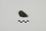 ostracon, image 2/3
