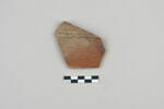 ostracon, image 1/3