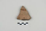 ostracon, image 2/3