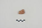 ostracon, image 1/3