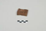ostracon, image 1/3