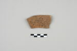 ostracon, image 1/3