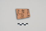 ostracon, image 1/3