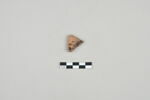 ostracon, image 1/3