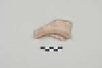 ostracon, image 1/3