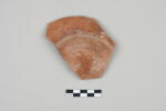 ostracon, image 2/3
