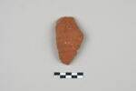 ostracon, image 1/3