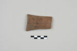 ostracon, image 1/3