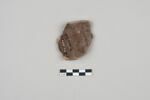 ostracon, image 2/3
