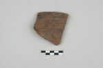 ostracon, image 1/3