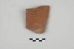 ostracon, image 1/3