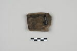 ostracon, image 2/3