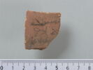 ostracon, image 1/4