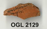 ostracon, image 3/3