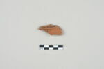 ostracon, image 1/3