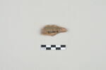 ostracon, image 2/3