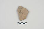 ostracon, image 1/3