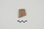 ostracon, image 1/3