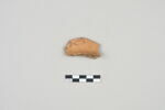 ostracon, image 1/3
