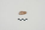 ostracon, image 2/3