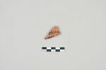 ostracon, image 1/3