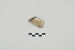 ostracon, image 1/3