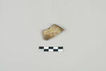 ostracon, image 2/3