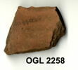 ostracon, image 3/3