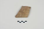 ostracon, image 1/3