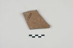 ostracon, image 2/3
