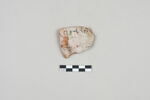 ostracon, image 1/3