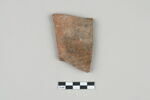 ostracon, image 1/3