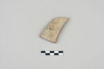 ostracon, image 1/3