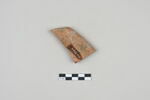 ostracon, image 2/3
