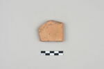 ostracon, image 1/3