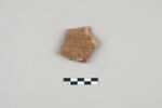 ostracon, image 2/3
