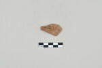ostracon, image 1/3