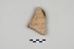 ostracon, image 1/3