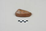 ostracon, image 1/3