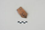 ostracon, image 1/3