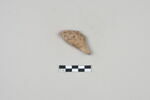 ostracon, image 1/3