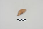 ostracon, image 2/3