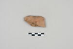 ostracon, image 1/3