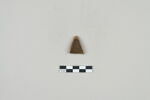 ostracon, image 2/3