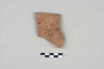 ostracon, image 1/3