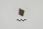ostracon, image 2/3