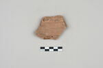 ostracon, image 2/3