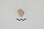 ostracon, image 2/3